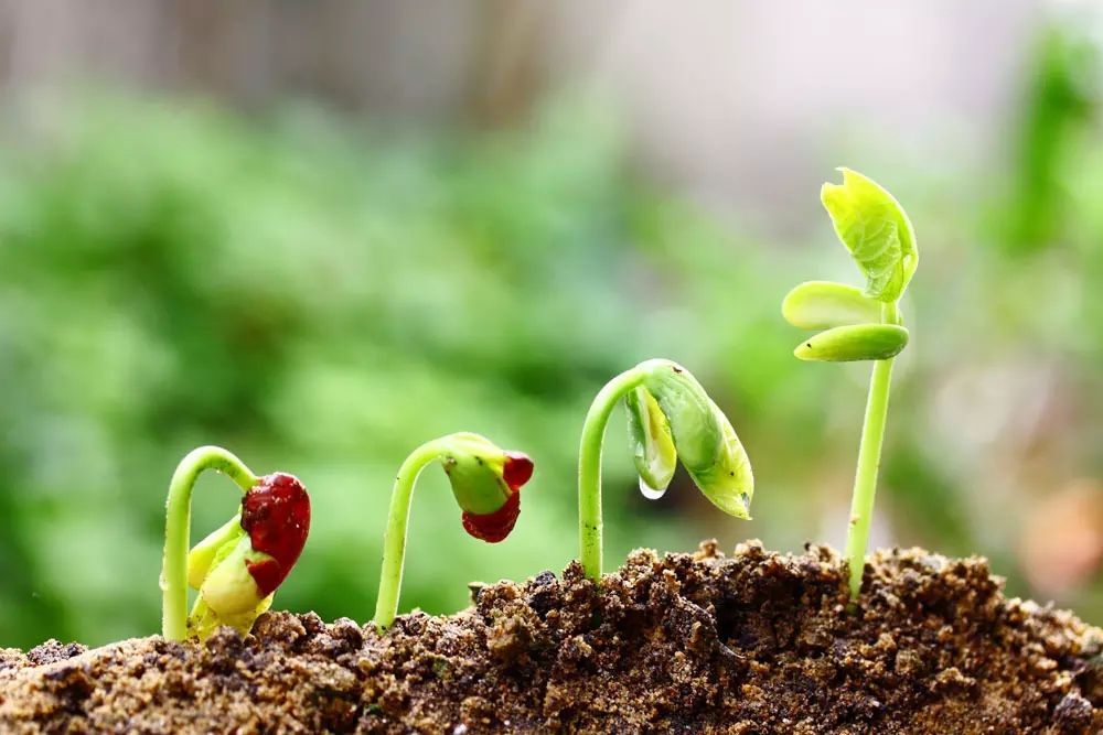 The knowledge of soil is not unknown when engaging in agriculture